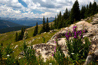 View from Shrine Pass