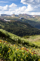 Wildflowers on Loveland Pass, Continental Divide in the background