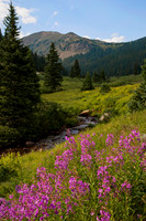 Valley near Jones Pass, CO