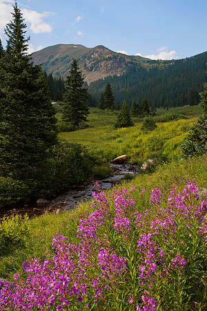 Valley near Jones Pass, CO